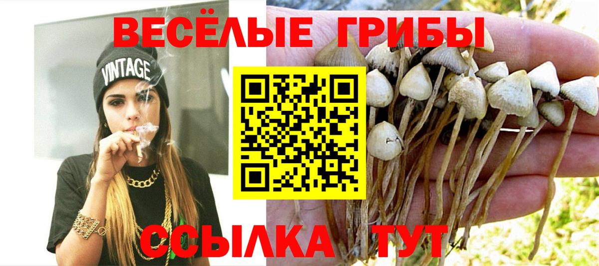 Псилоцибиновые грибы MAGIC MUSHROOMS Тольятти